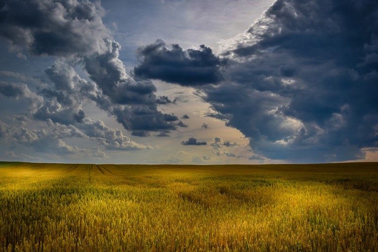 Agricoltura e paesaggio (repertorio)