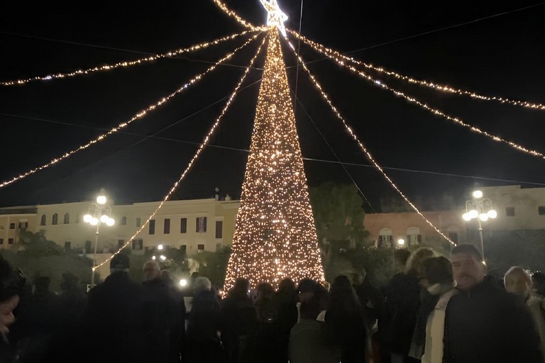 Albero di Natale Bisceglie. <span>Foto Serena De Musso</span>