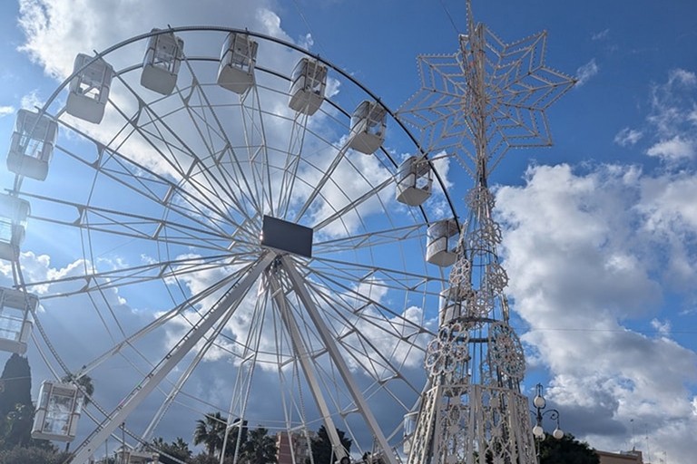 Albero e ruota panoramica