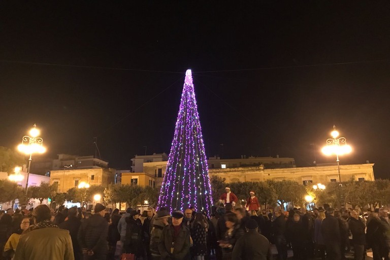 L'albero di Natale 2017 in piazza Vittorio Emanuele