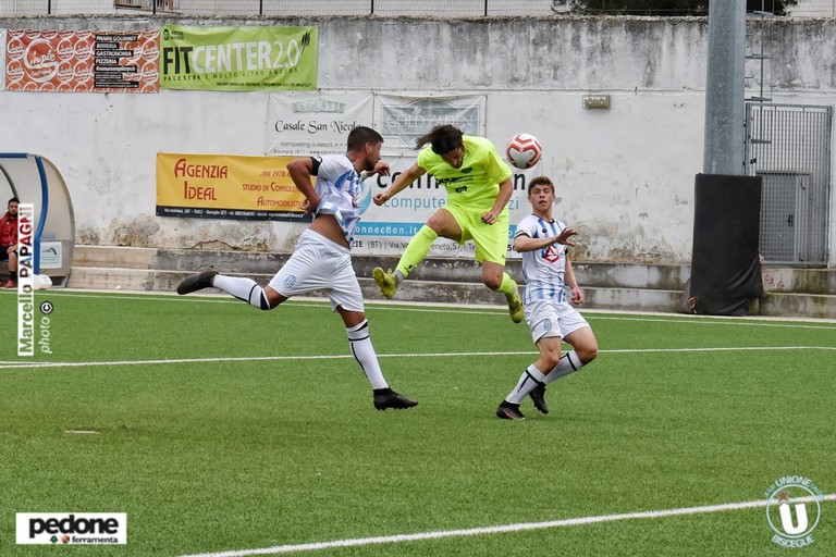 Unione Calcio Bisceglie: Amoroso. <span>Foto Marcello Papagni</span>