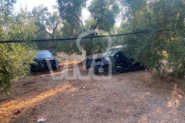 Auto cannibalizzate trovate a Sagina