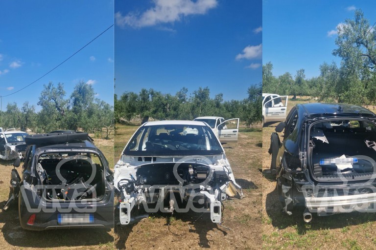 auto ritrovate nellagro