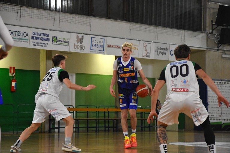 Azione Corato-Lions. <span>Foto Alessio Ferrante</span>