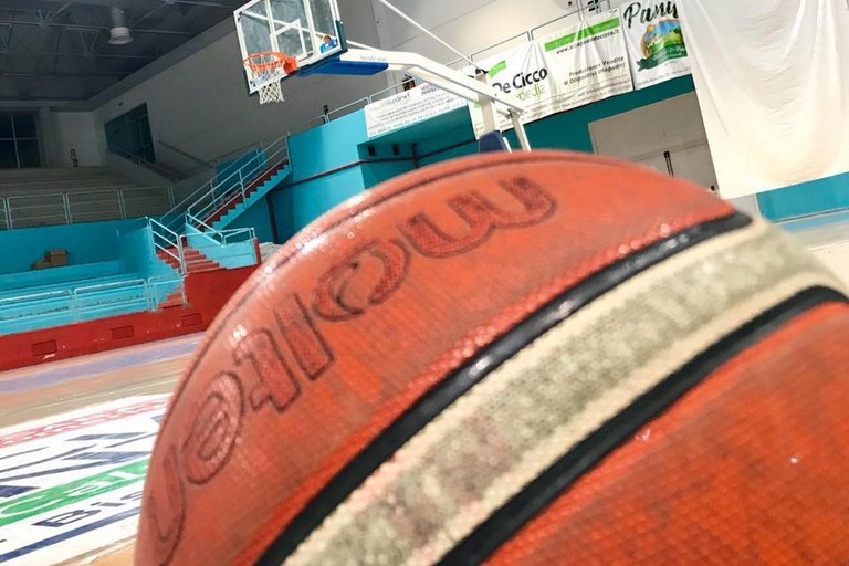 Basket Basket