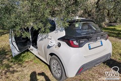 Auto rubata a Bisceglie ritrovata nell'agro di Giovinazzo