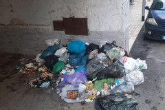 Abbandono di rifiuti in via Abate Bruni, multati due individui