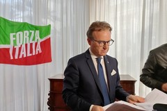 La Xylella avanza, Damiani (Forza Italia): «Subito la questione sui tavoli nazionali»