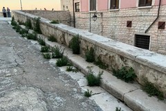 «Centro storico pieno di erbacce e rifiuti durante la festa di Sant'Antonio»