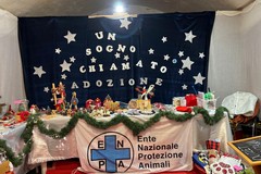 Il mercatino solidale dell’ENPA di Bisceglie al Borgo di Natale