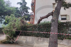 Forza Italia Bisceglie: «Continuiamo a scherzare col fuoco, ma la fortuna prima o poi finisce»