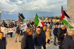 Il sindaco Angarano: «Manifestazione pacifica e partecipata»