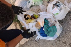 Abbandono rifiuti, proseguono i controlli degli operatori dell'igiene urbana