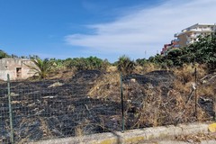 Incendi boschivi in città, Spazio Civico: «Ci sono stati controlli nelle aree pubbliche e private?»