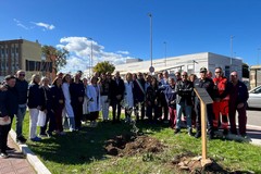 "Un Albero per la Vita" cerimonia davanti all'ospedale "Vittorio Emanuele II" di Bisceglie