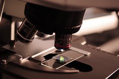 Coronavirus, l'associazione "Giovanni Paolo II" raccoglie fondi per test anticorpali