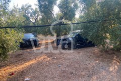 Auto cannibalizzate in un fondo agricolo a Sagina: allertate le guardie campestri