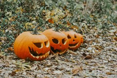 Coldiretti Puglia: "Per Halloween +20% produzioni zucche"
