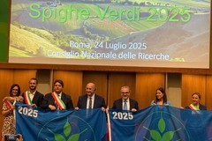 Bisceglie conferma la Bandiera Spighe Verdi per il sesto anno consecutivo