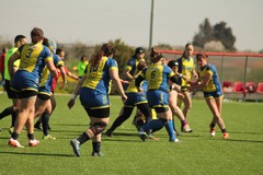 Bisceglie Rugby: parte la nuova stagione con la fase “off season”