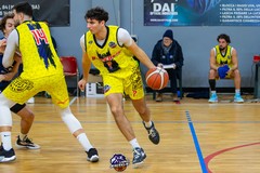 I Lions Bisceglie attendono Jesi