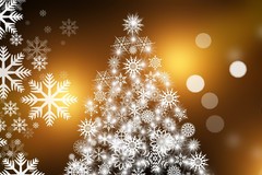 “Aspettando il Natale”: il calendario degli eventi a Bisceglie