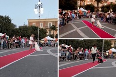 “Cani in Passerella” incanta Bisceglie: emozioni, solidarietà e amore per gli animali