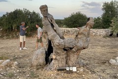 Solidarietà in natura, ContestoLab fa tappa in una masseria di Bisceglie