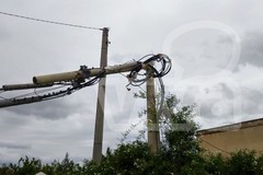 Carrara Enziteto, albero cade per il vento e colpisce un palo del telefono