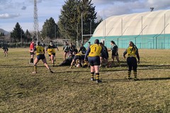 Bisceglie Rugby esce sconfitto dalla trasferta de L’Aquila