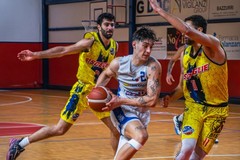 I Lions Bisceglie ingaggiano Davide Frizzarin