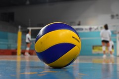 Sportilia Volley, il calendario della regular season della serie D