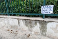 Deiezioni canine, Spazio Civico: «Si possono sanzionare gli incivili?»