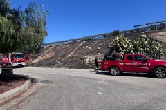 Incendio di sterpaglie e rifiuti in via Vecchia Corato