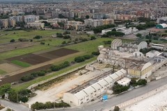 Maglia 165, la proposta di Sergio Silvestris: «Pineta con area picnic e cine-teatro scoperto». Video