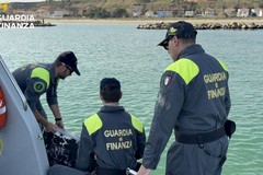 Pescava 200 chili di ricci di mare a Campomarino: i finanzieri fermano un biscegliese