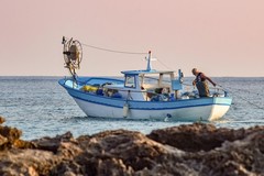 Pesca, allevamento e peste suina: la Lega chiede misure straordinarie