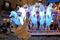 Natale a Bisceglie: venerdì 5 dicembre l'accensione del grande albero