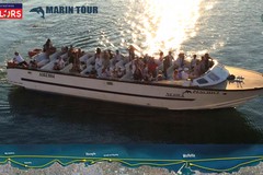 Molfetta, Giovinazzo, Bisceglie e Trani: tornano i tour via mare dell'associazione Sailors