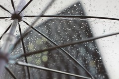 Allerta meteo gialla per piogge dalle 13 di martedì 21 ottobre
