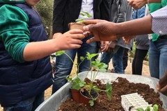 Una domenica diversa con la "Festa di primavera" al Giardino Botanico