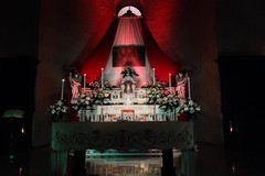 Giovedì santo, gli altari della reposizione nelle chiese biscegliesi - FOTO
