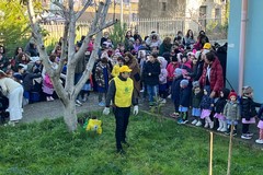 Legambiente Bisceglie e il Circolo Didattico: per la "Festa dell'albero" piantate oltre 200 alberature