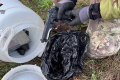 «Vieni a mangiare il panzerotto». Così i ladri pianificavano i colpi