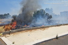 Incendio nell'agro di Bisceglie