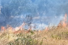 Incendio nei pressi dell’uscita Bisceglie Sud