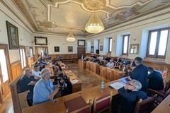 Monitoraggio Xylella a Bisceglie, negativi gli esiti nei primi 400 metri