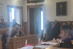 Eventi e pubblico spettacolo, comune di Bisceglie e Confcommercio: «Regole chiare per evitare criticità»