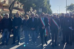 Le istituzioni scendono in piazza al fianco degli agricoltori - LE INTERVISTE
