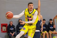 I Lions Bisceglie vogliono confermarsi corsari